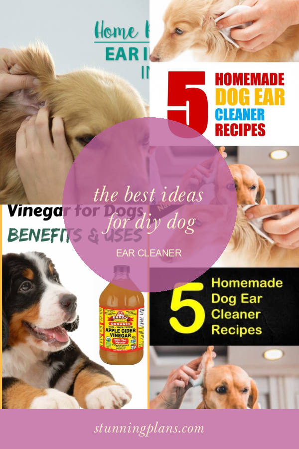 The Best Ideas for Diy Dog Ear Cleaner Home, Family, Style and Art Ideas